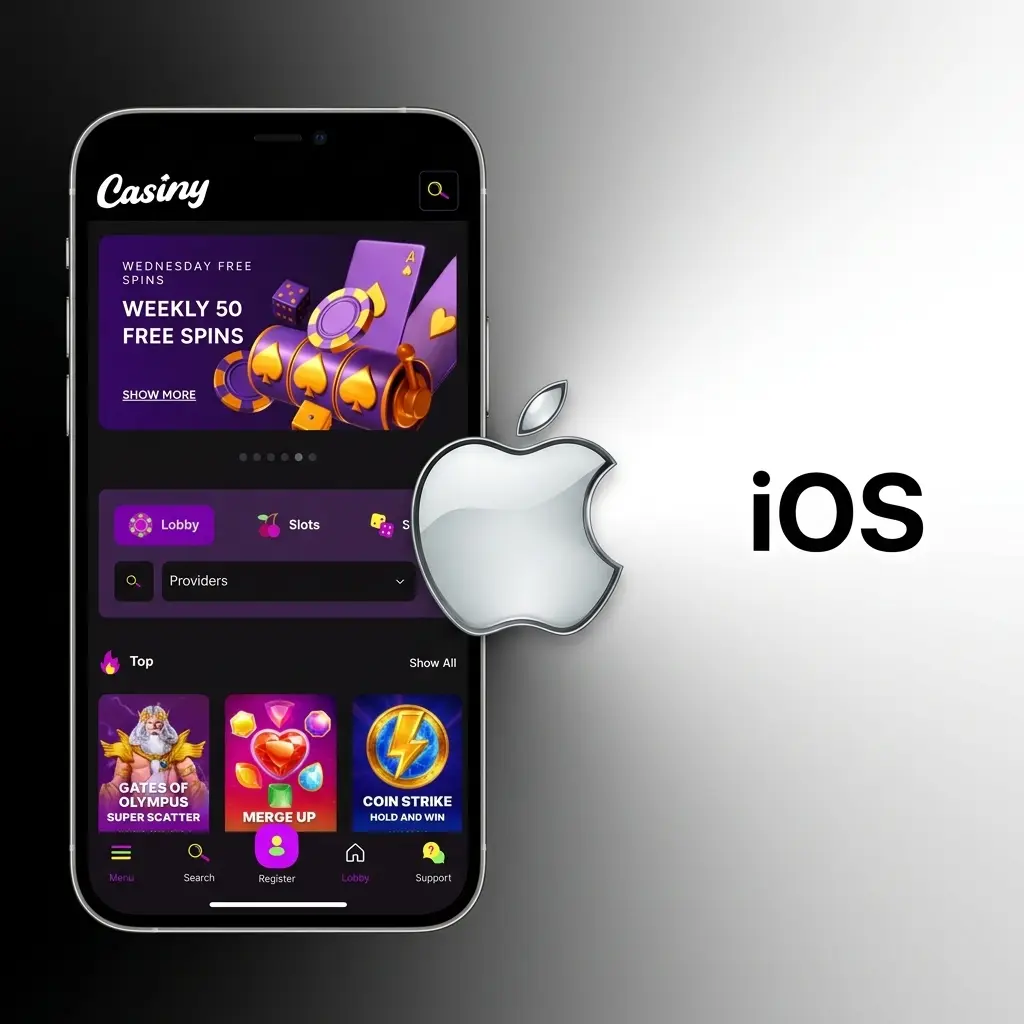 Casiny mobile site on iPhone